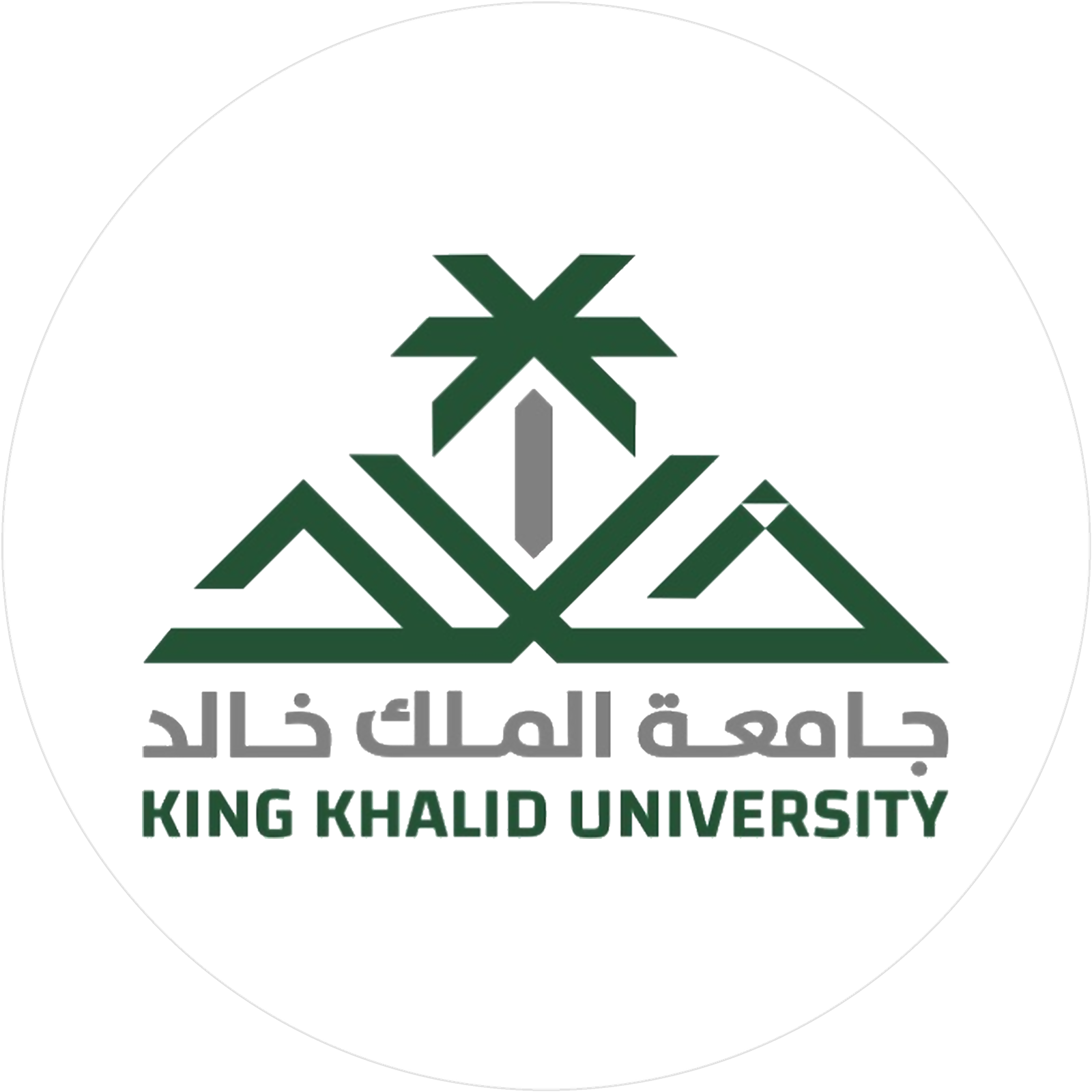 عميل 29